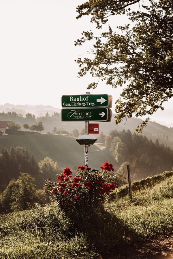 Вилла Weingut Kollerhof Am Eichberg Лойчах Экстерьер фото